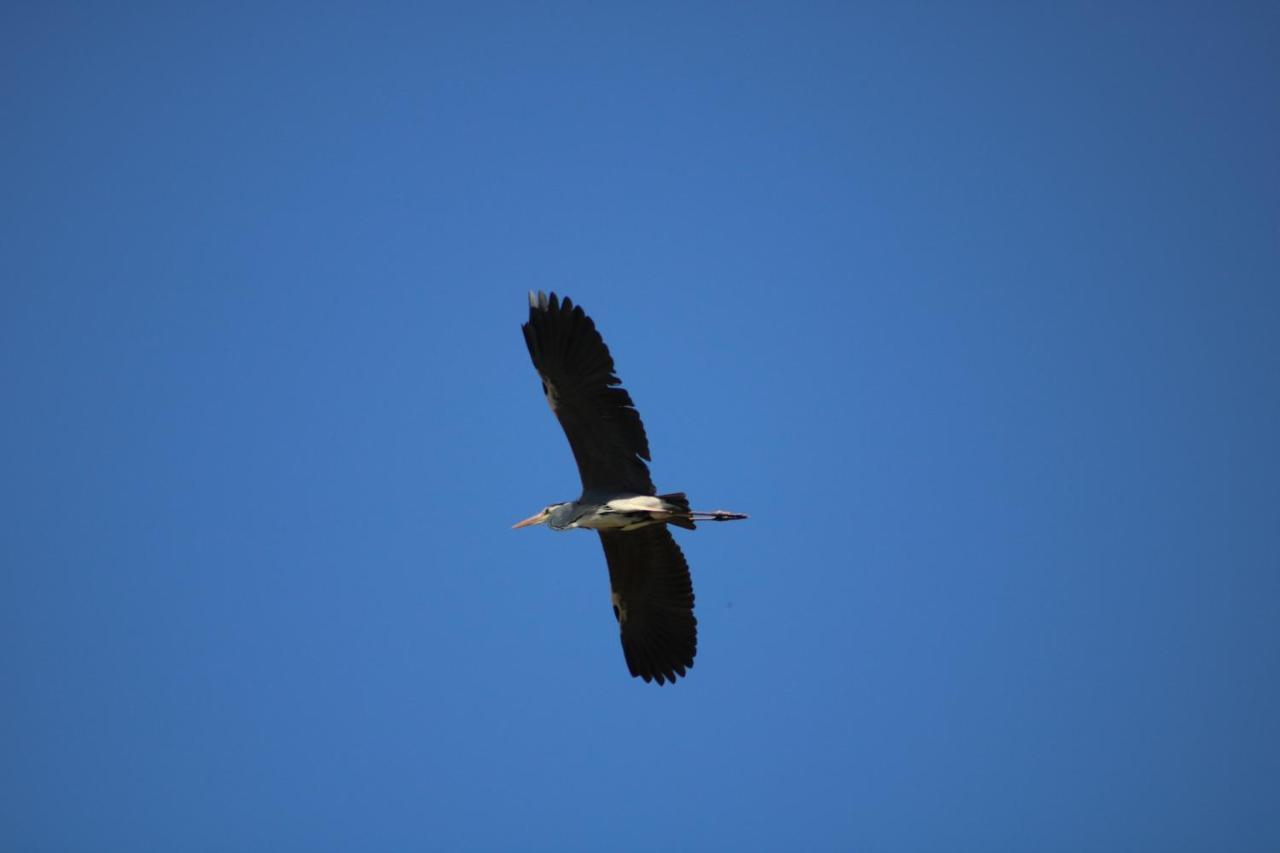 Red Bishop - Birds, Beach & Beauty Langebaan Exterior photo